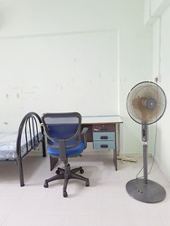 Blk 264 Tampines Street 21 (Tampines), HDB 4 Rooms #503218361